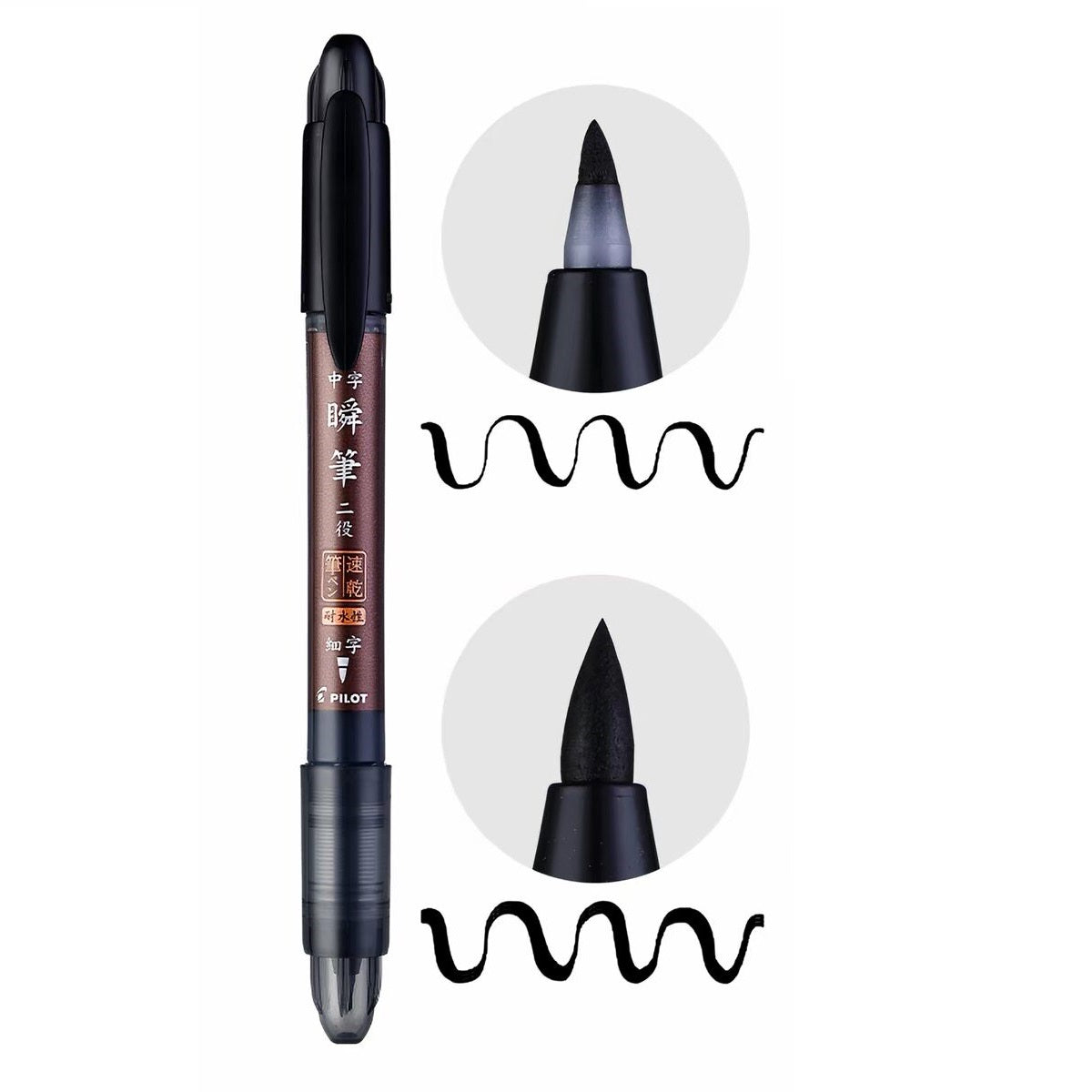 Pilot Double-Ended Brush Pen | Quick-Dry Liquid Ink | Calligraphy Pen for Beginners Fine+Board