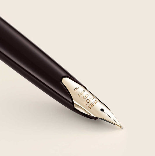 Penna stilografica Pilot Elite E95S con scatola regalo di inchiostro Punta in oro 14k