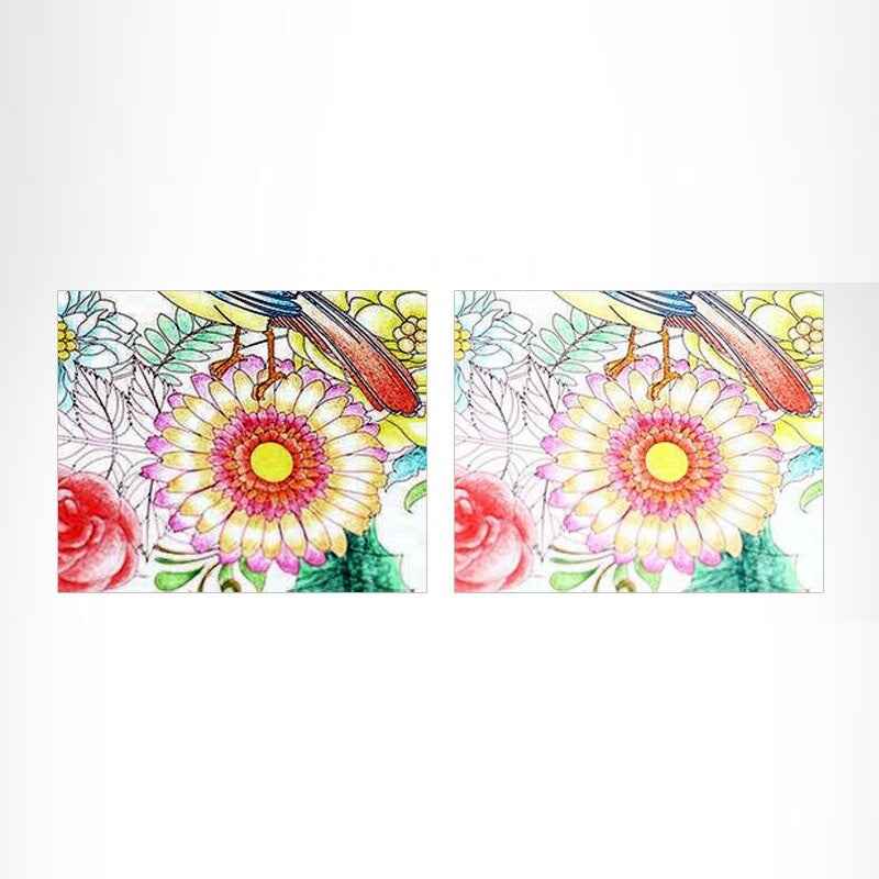 SEED Plastic Eraser For Colored Pencils - 2 Pack