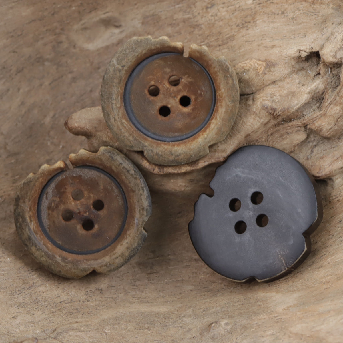 Antique distressed horn button, charred brown, 4 holes, scalloped ring