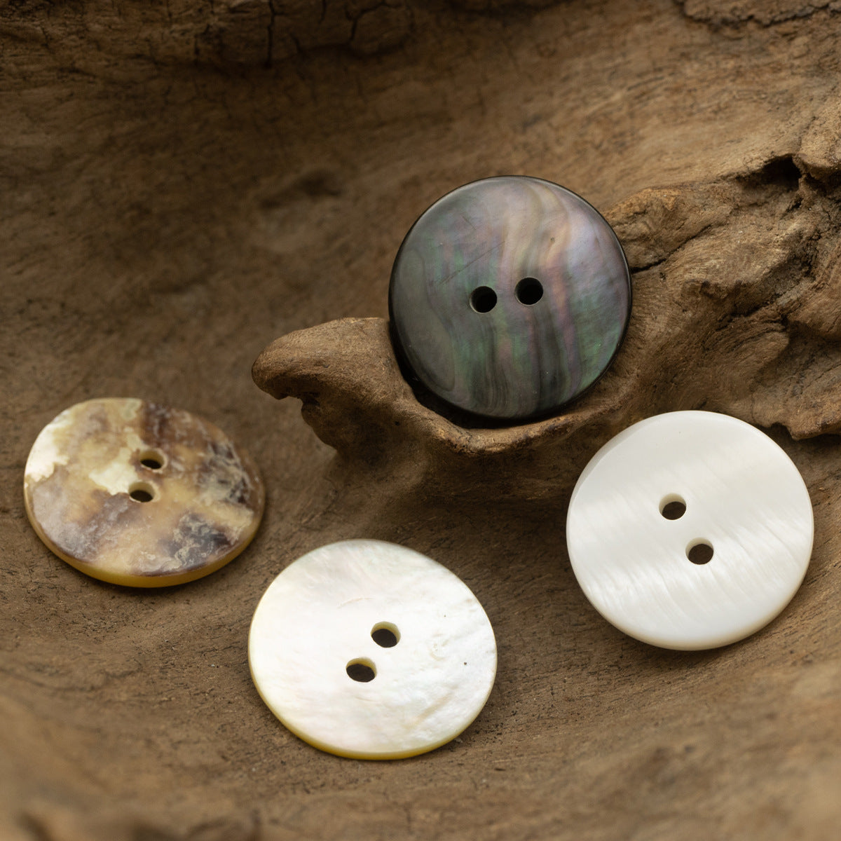Assorted 2-hole flat shell buttons: white, pale gray, and dark mottled tones, round