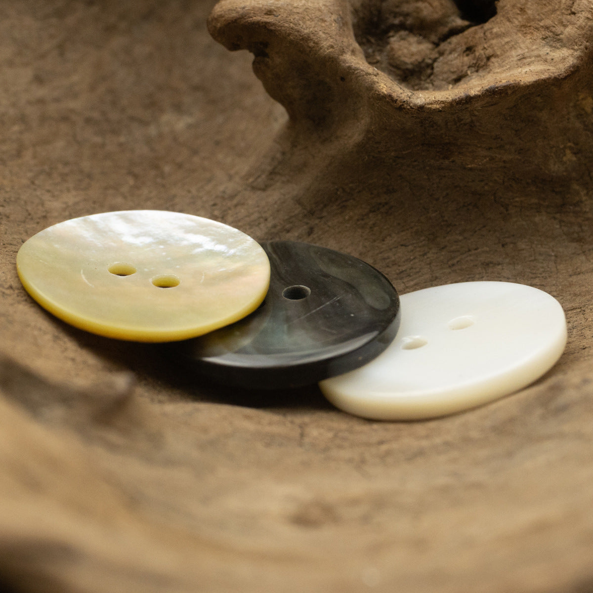 2-hole flat shell buttons, pale natural and dark gray—round, glossy, two holes