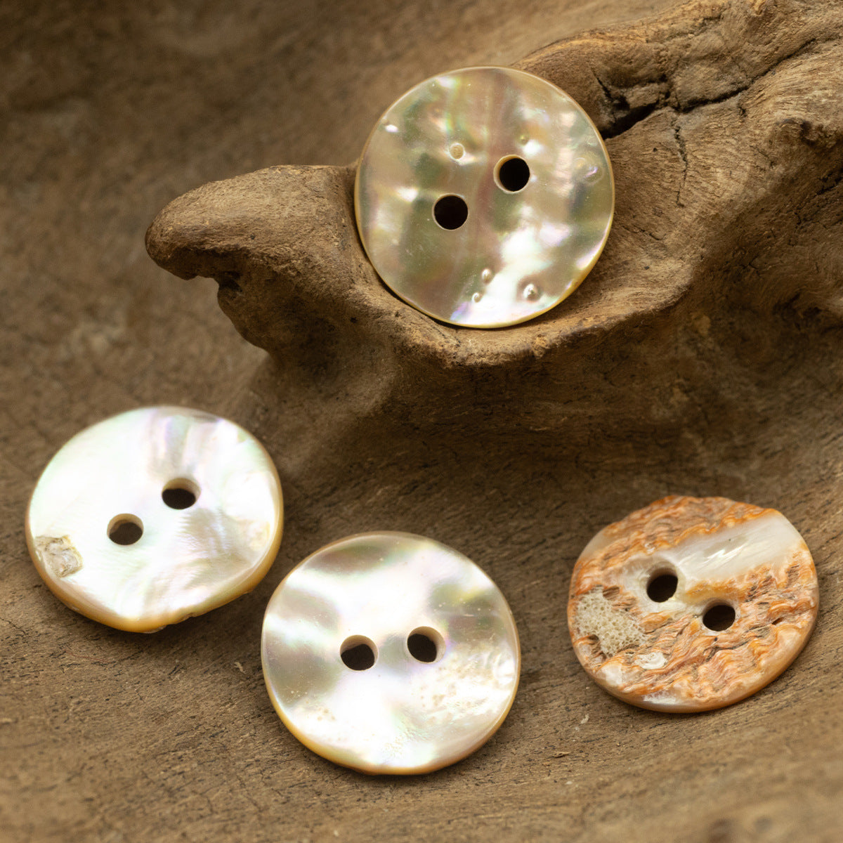 Irregular natural abalone shell buttons, mixed faces with 2–3 holes