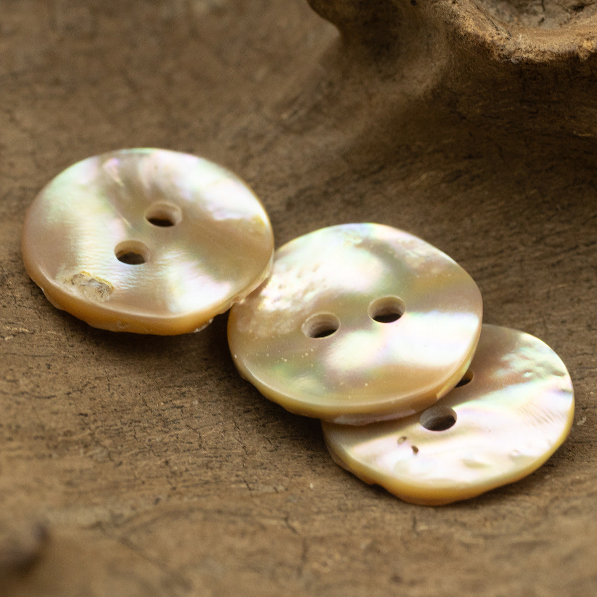 Set of natural abalone shell buttons, irregular curved style with 2 holes each