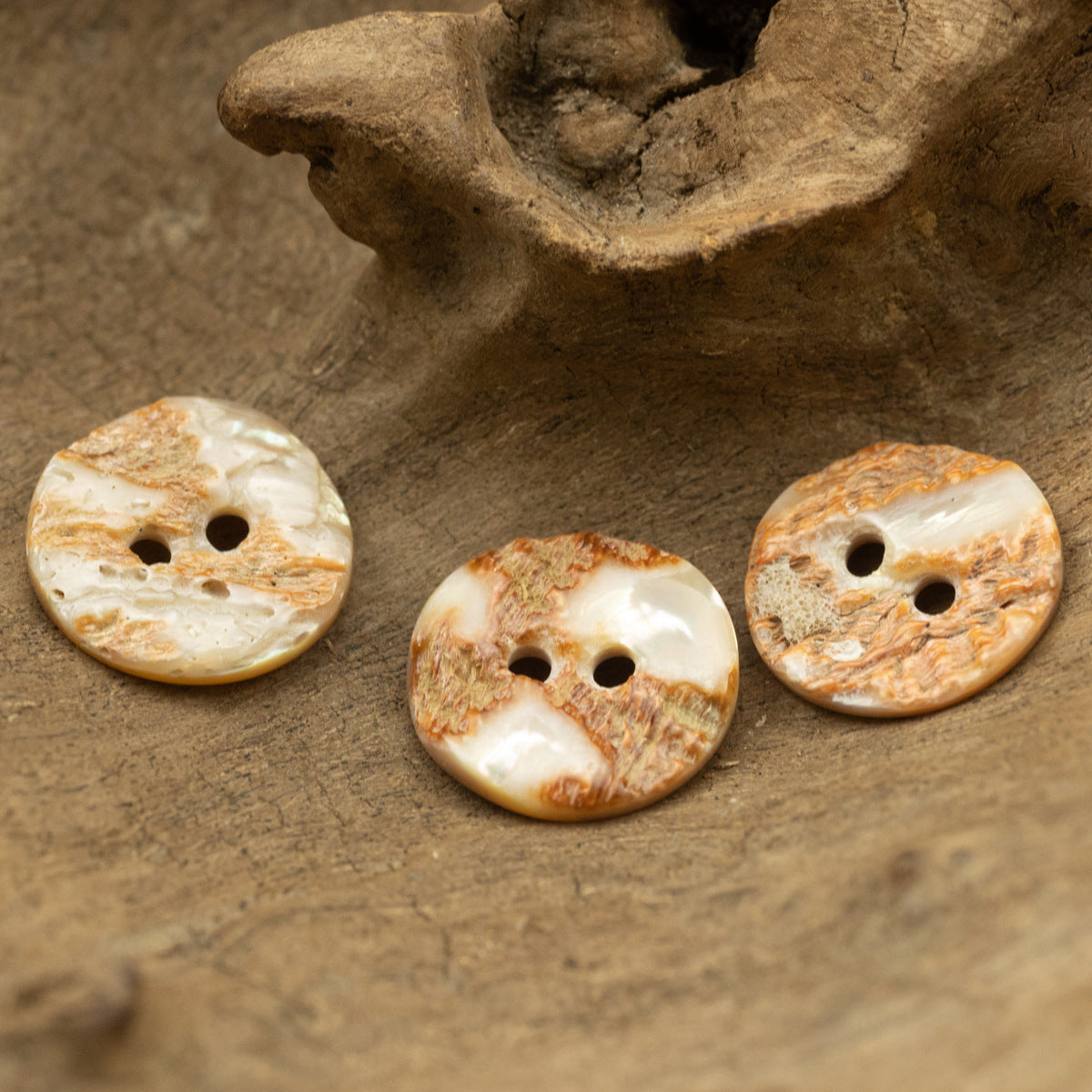 Irregular natural abalone shell button pack, round 2-hole faces with mottled color