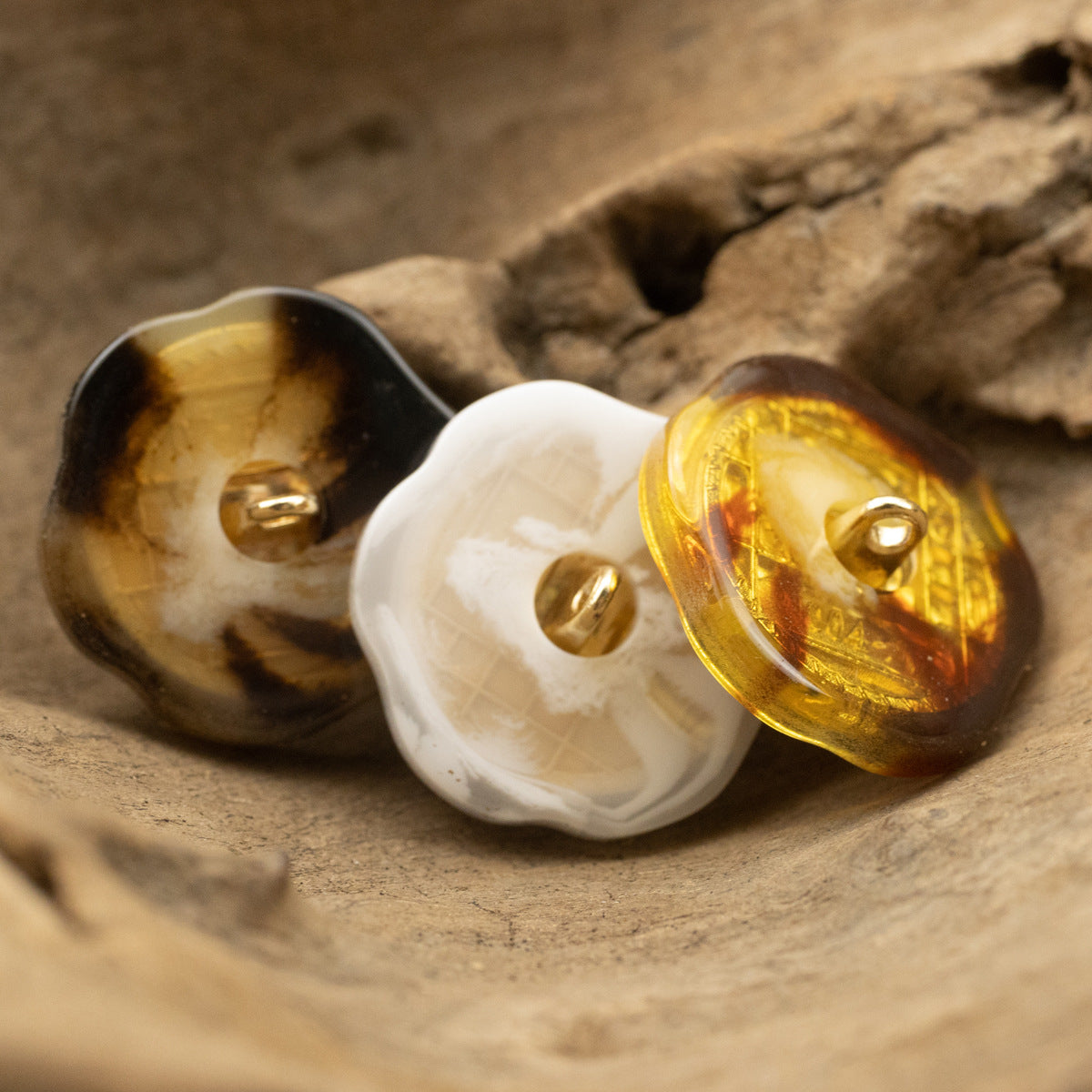Resin shank button pair, white and dark brown/amber, gold-tone portrait front