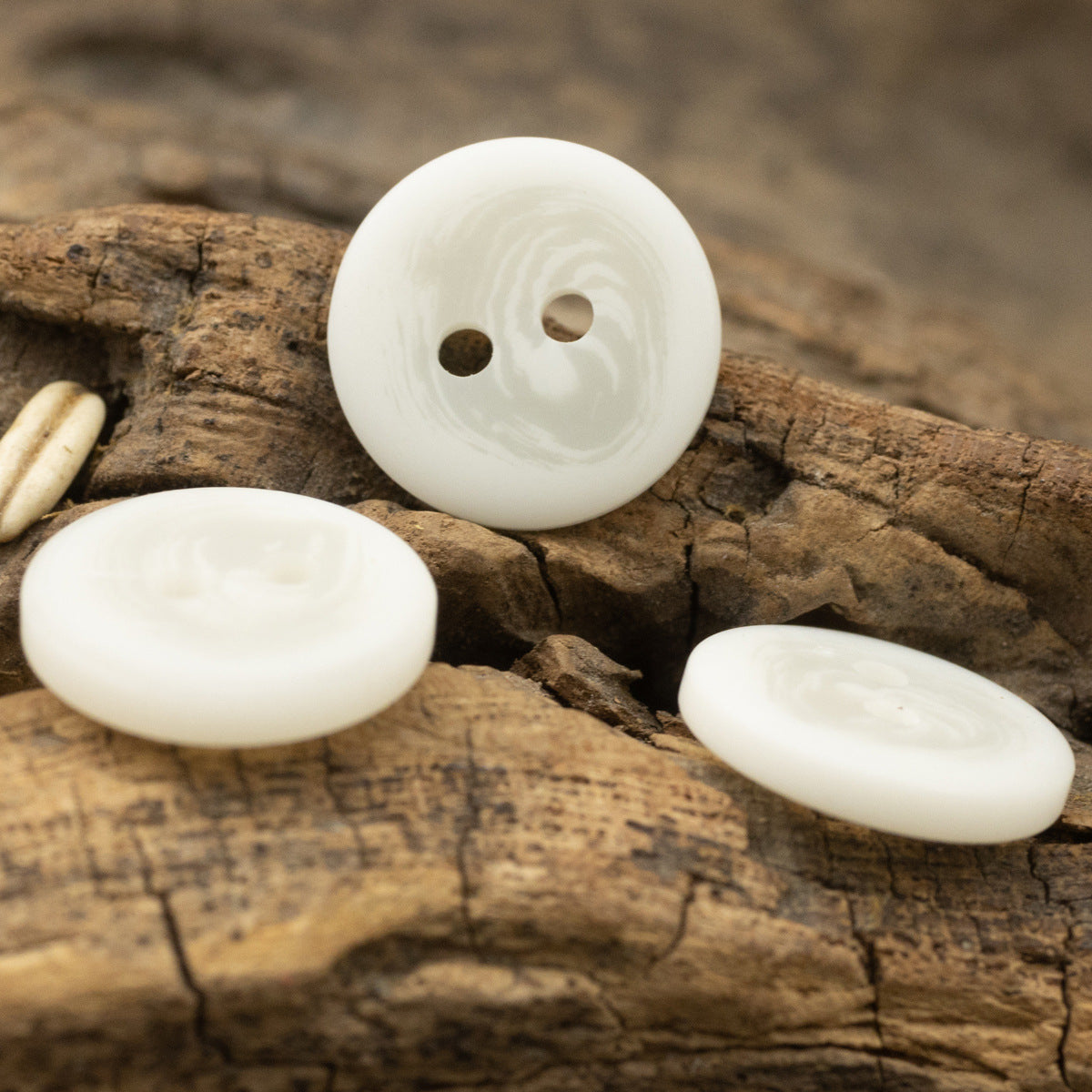Three off-white resin buttons, two-hole design, fish-eye round face, flat