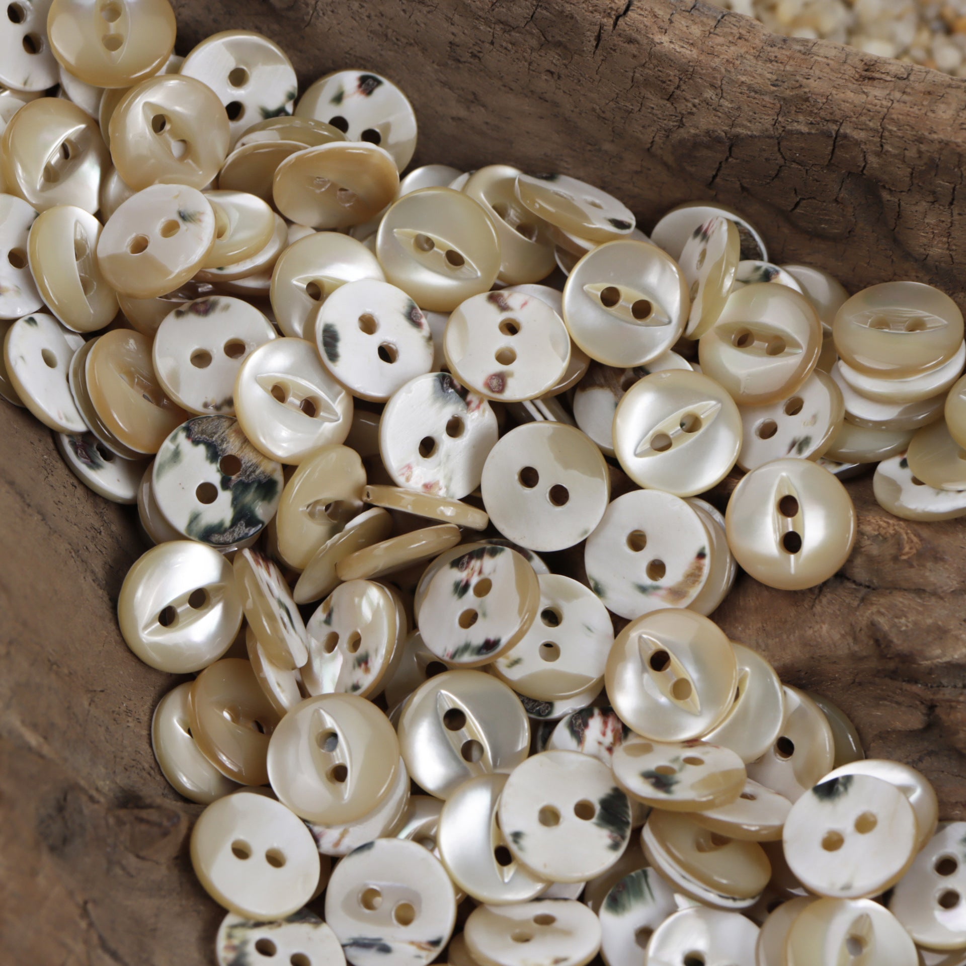 Mixed white and beige two-hole shell buttons, round fish-eye style