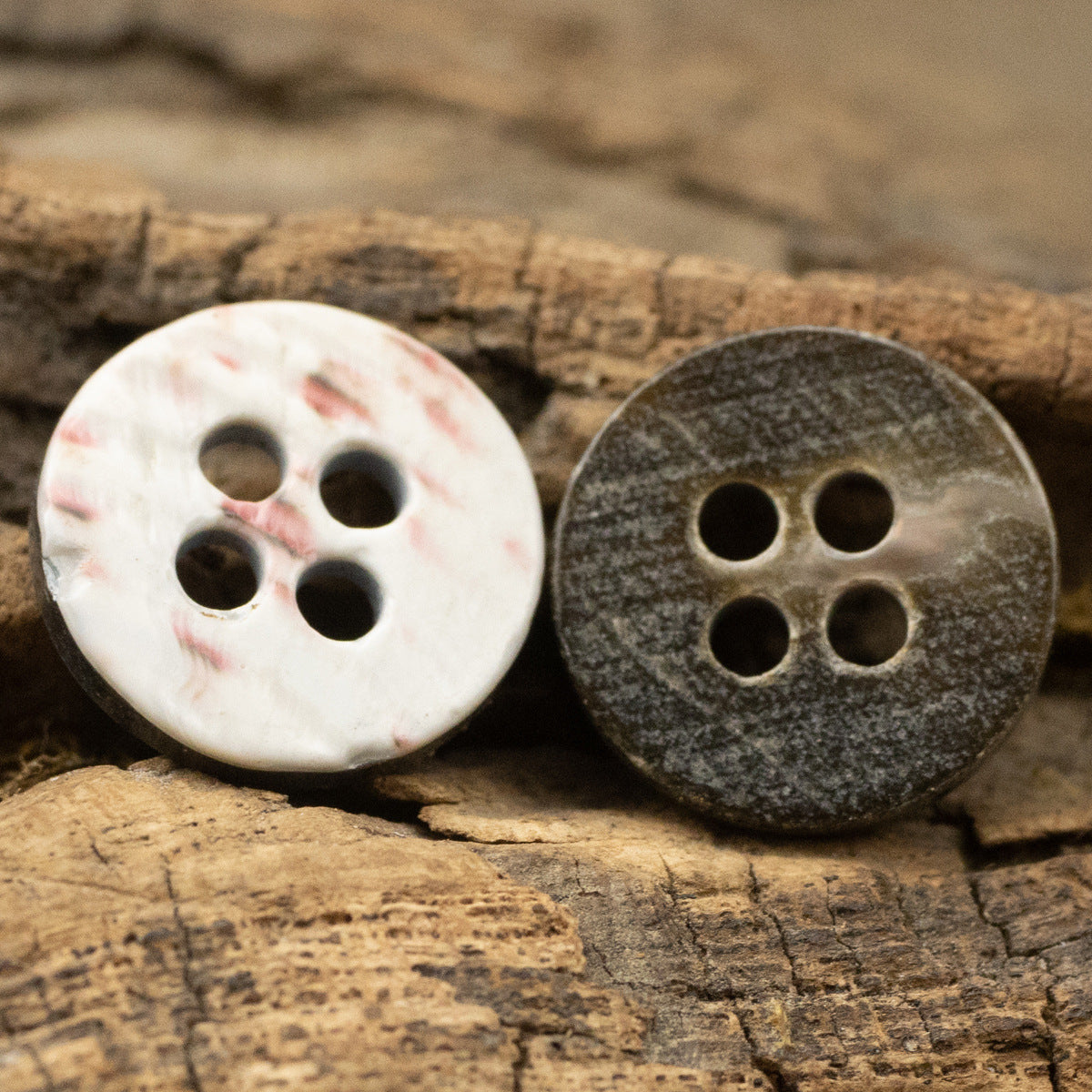 Natural shell and dark blue-black 4-hole round buttons on wood, set of 2