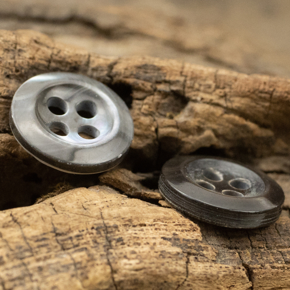 Silver-toned and dark blue-black 4-hole shell buttons, round, 2 pieces