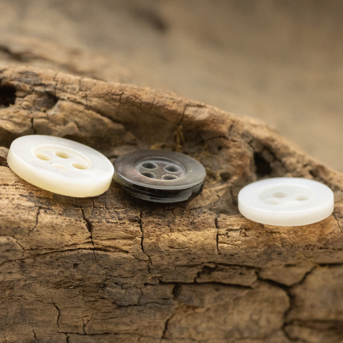 Frontansicht Schalenknöpfe 11,5 mm: off-white und dunkel, breiter Rand, 4 Löcher