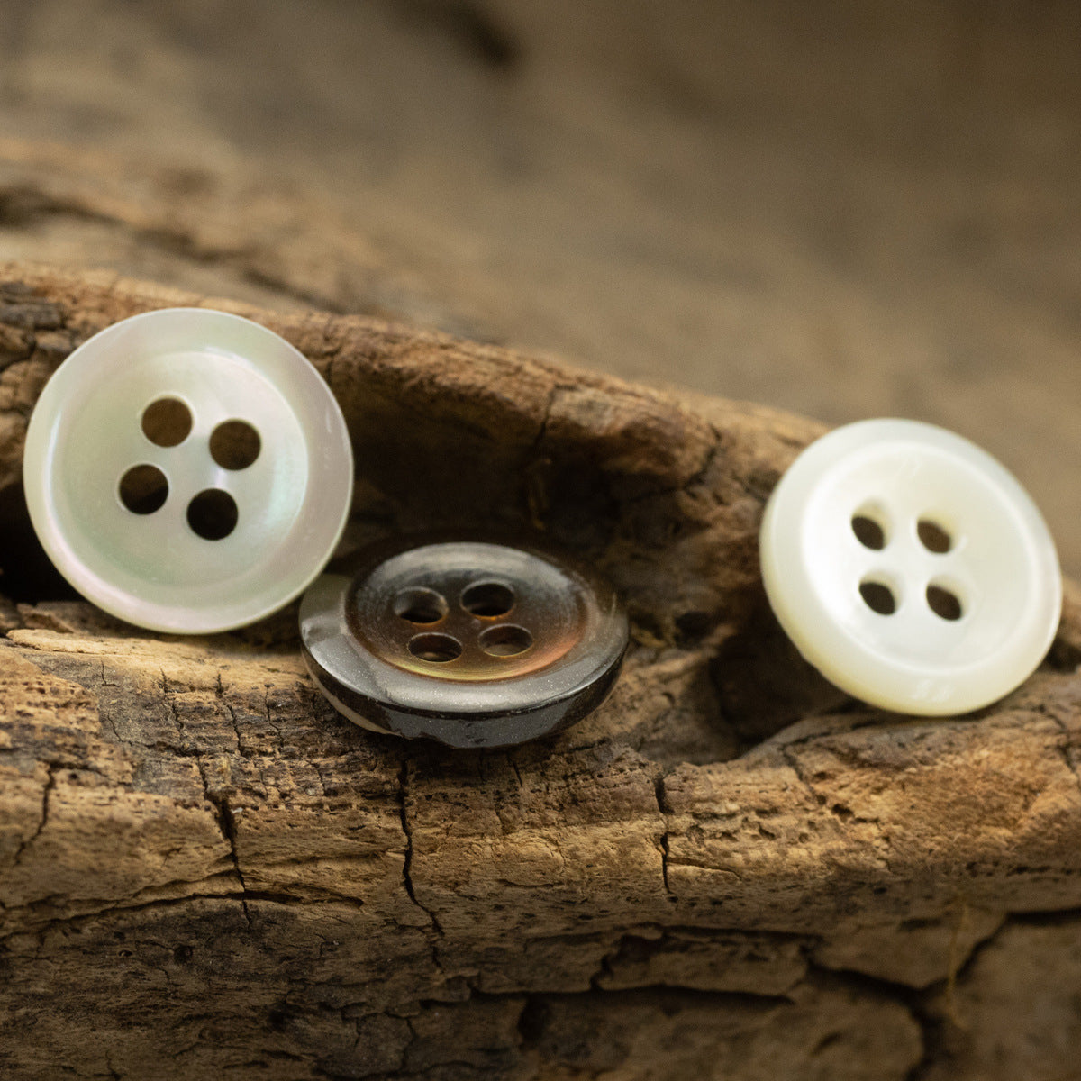 Cream and dark natural shell buttons, four-hole, ink-blend set, 5pcs