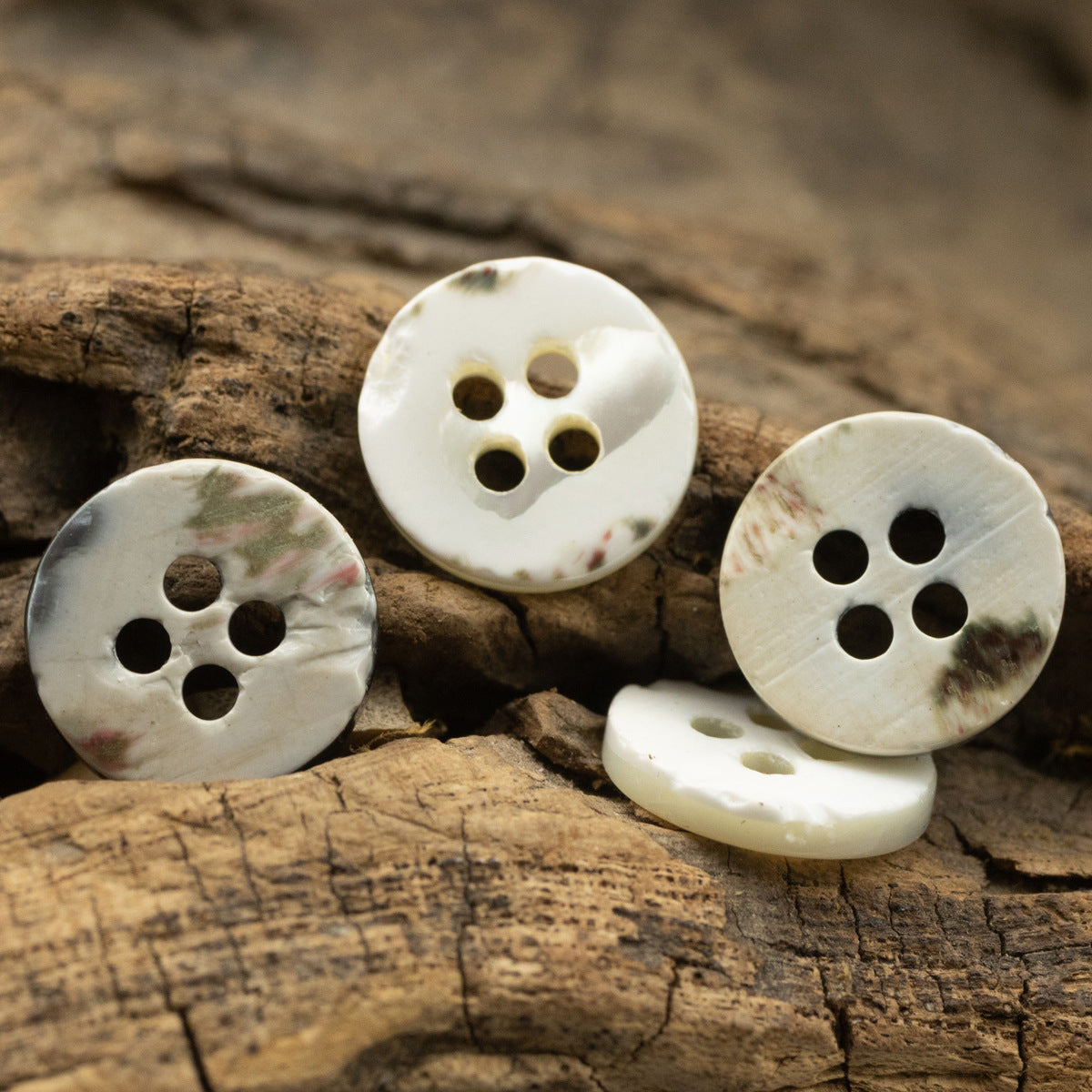 White shell shirt buttons, 4-hole round, on wood pieces.