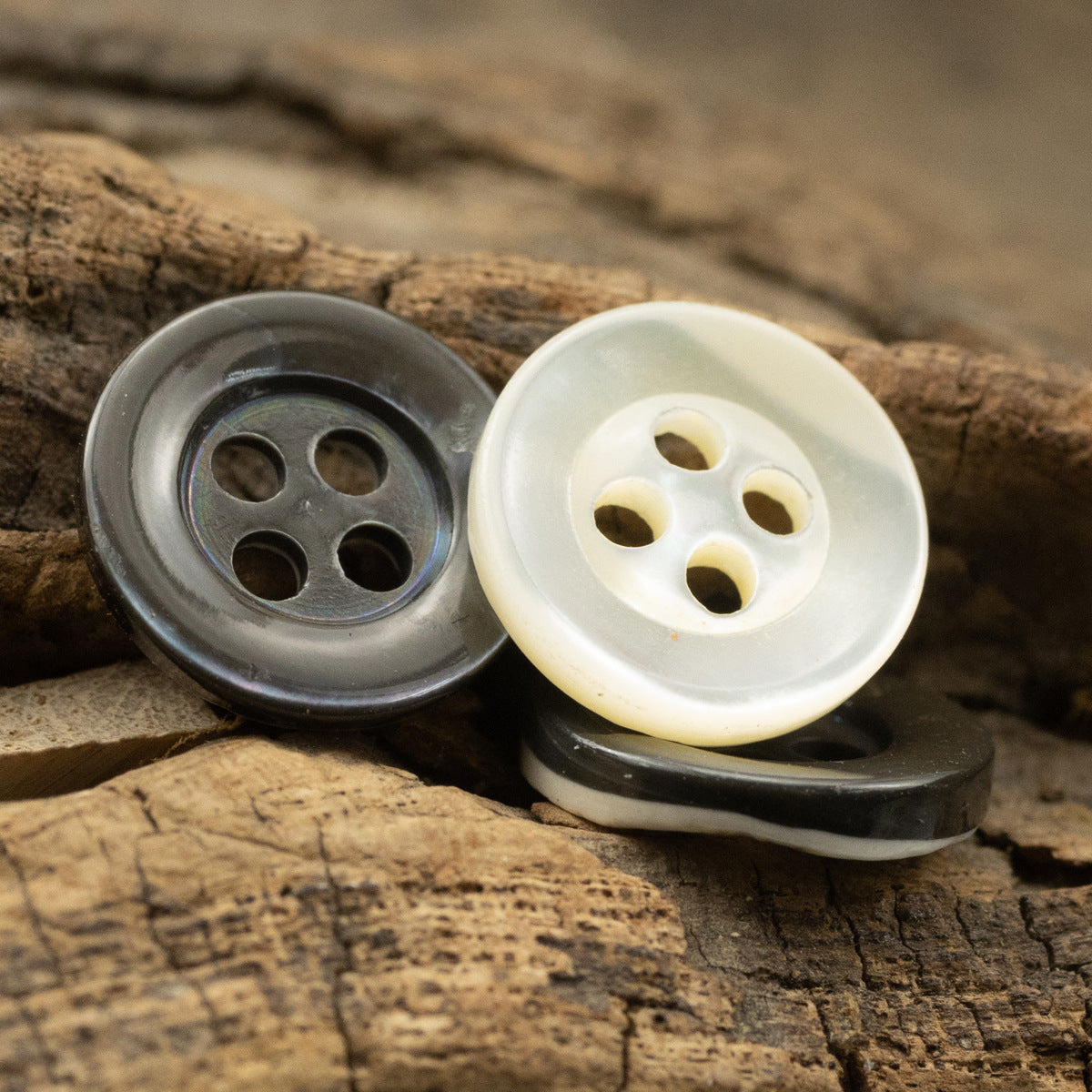 Deep blue-gray and off-white shell buttons, 4-hole round design.