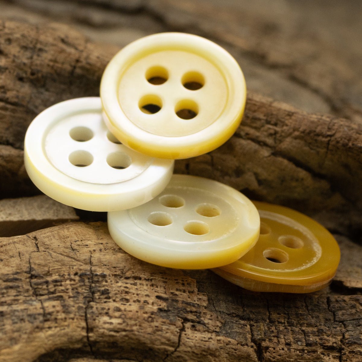 Light yellow natural shell shirt buttons, 4-hole, stacked set on wood surface