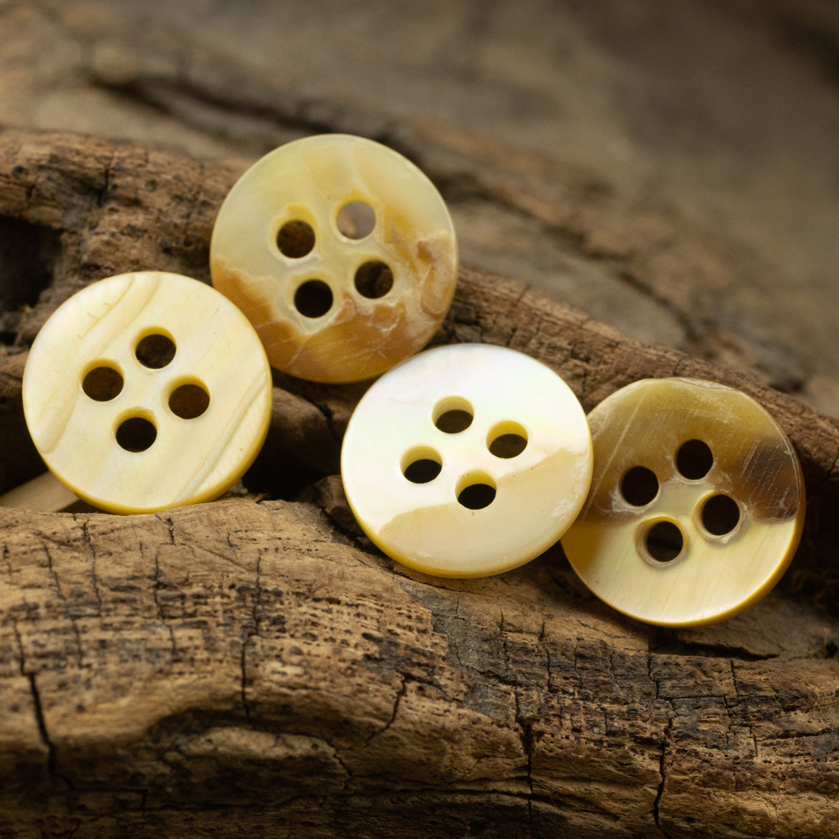 Natural shell shirt buttons in light yellow tones, 4-hole front views, 10pcs