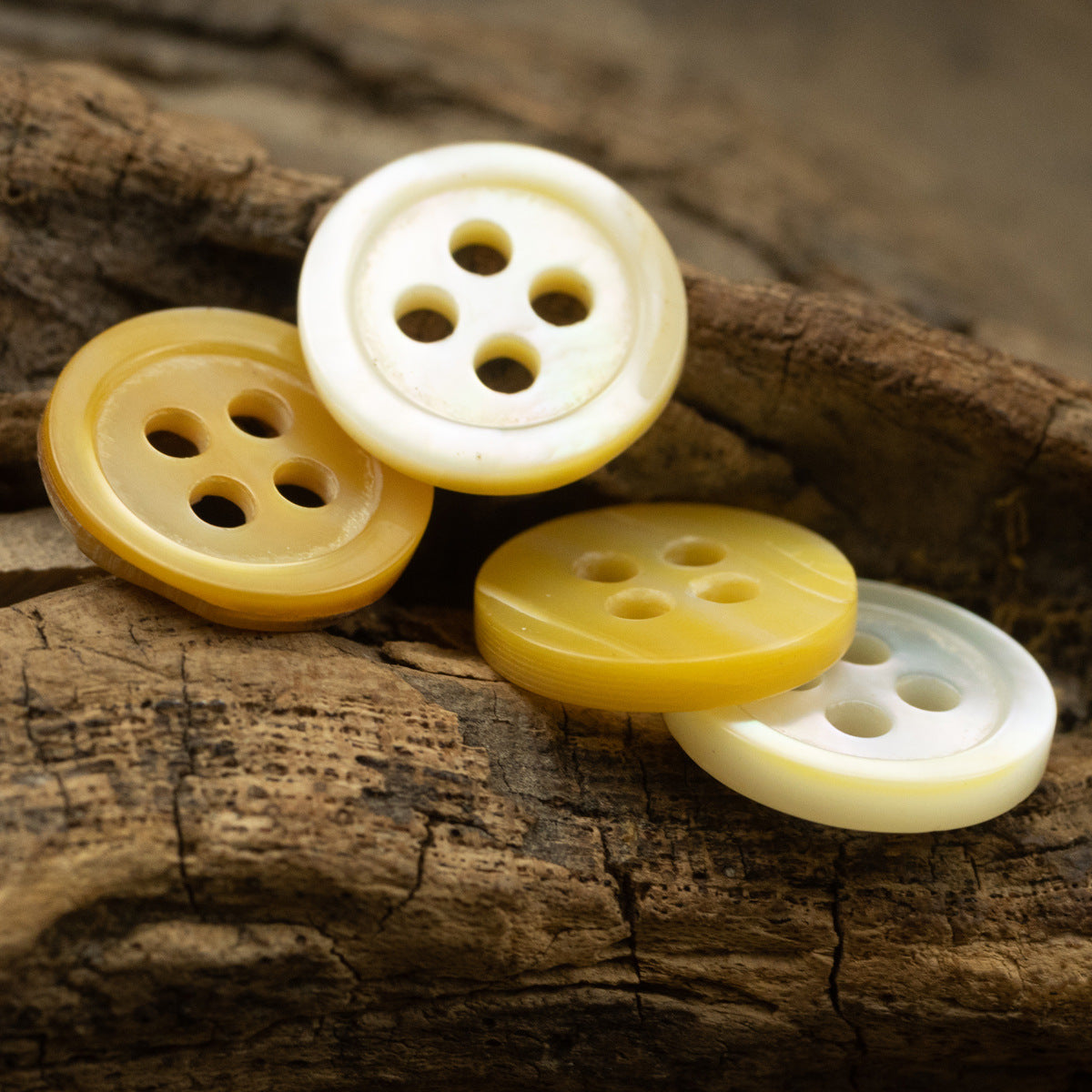 Light and pale yellow natural shell buttons with 4 holes, 10pcs set