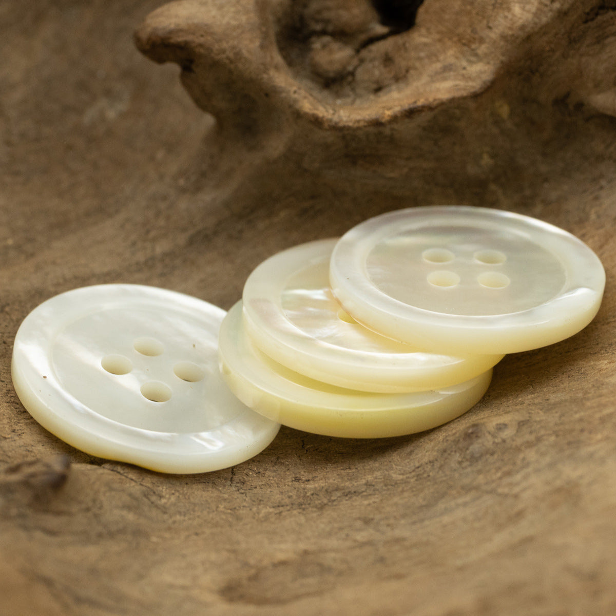 Stacked off-white shell buttons with four holes, pearl-like sheen