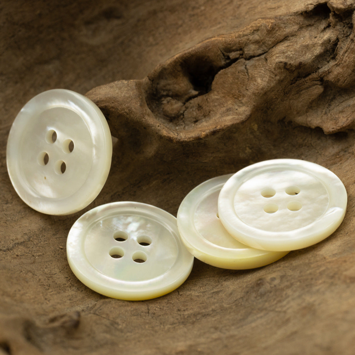 Off-white genuine shell buttons set, 4-hole fronts and one side view