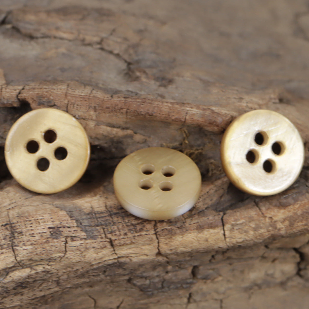 Champagne pearl shell buttons, round, four-hole design (3 buttons shown)