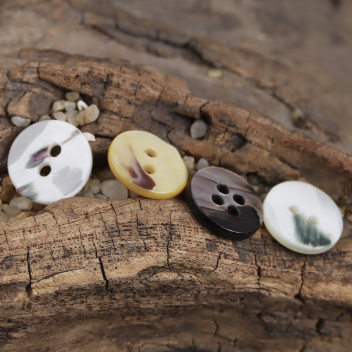 Assorted round shell buttons with fish-scale glitter texture, 2- or 4-hole style