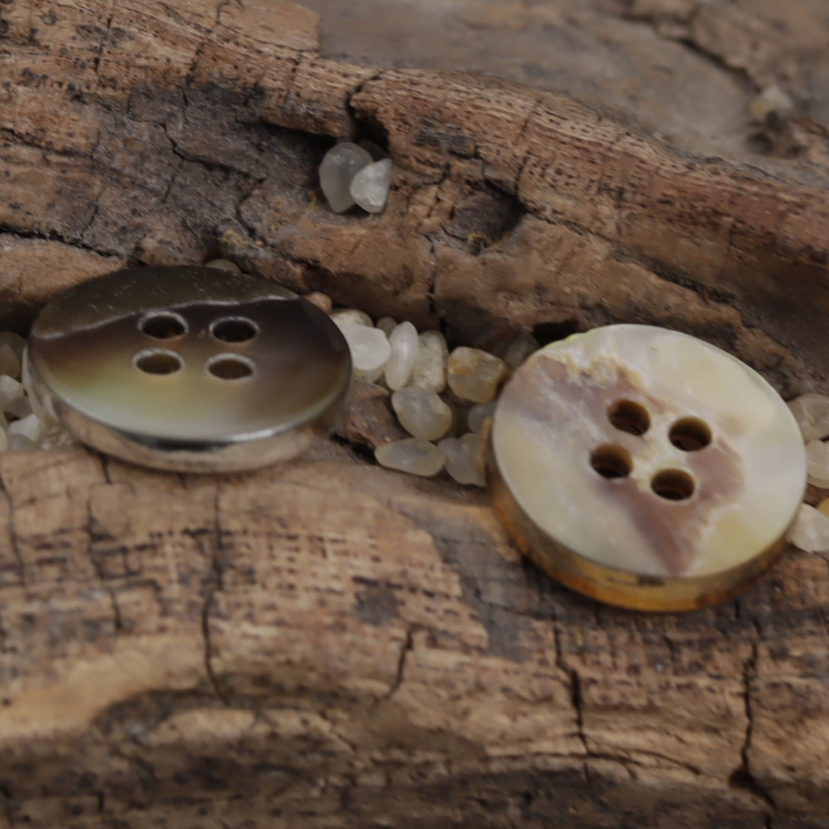 Natural shell button with gold rim and cream face, 4-hole design