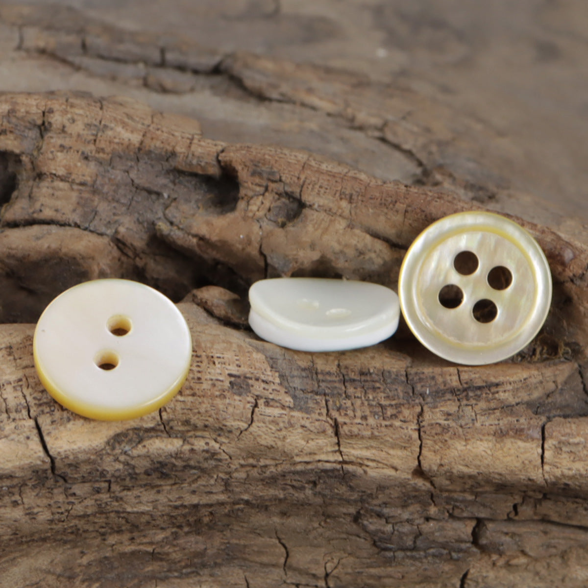 Off-white real shell buttons: white two-hole, cream two-hole, yellow rim four-hole