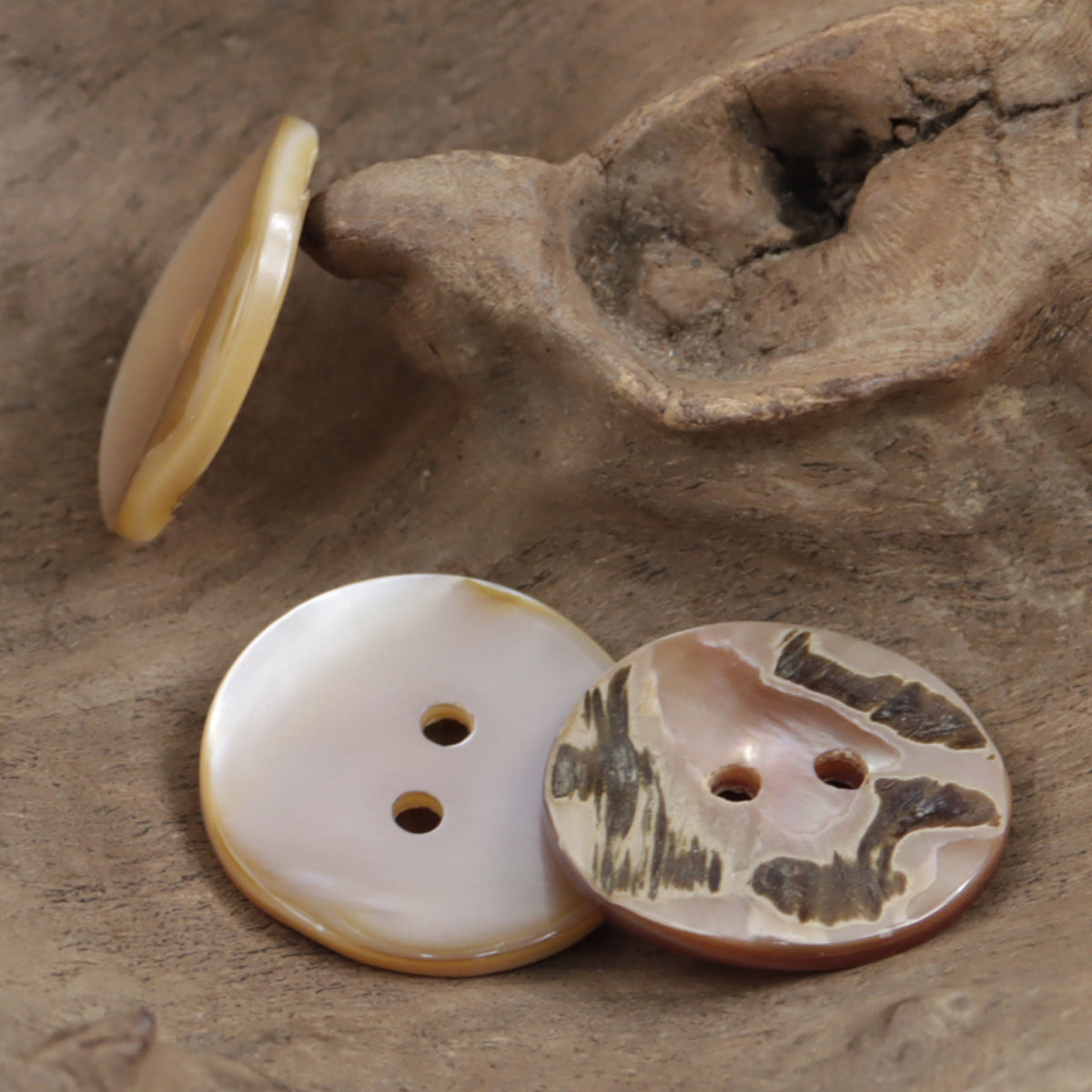 Muschelknöpfe in Creme und braun marmoriert, runde Form, jeweils zwei Löcher