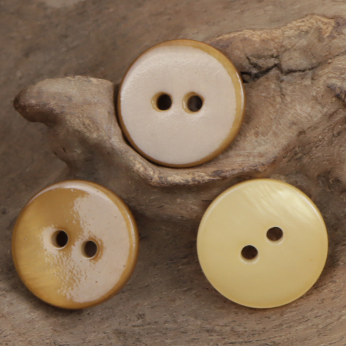 2-Loch Muschelknöpfe: creme, hellgelb und beige Rundknöpfe mit zwei Löchern