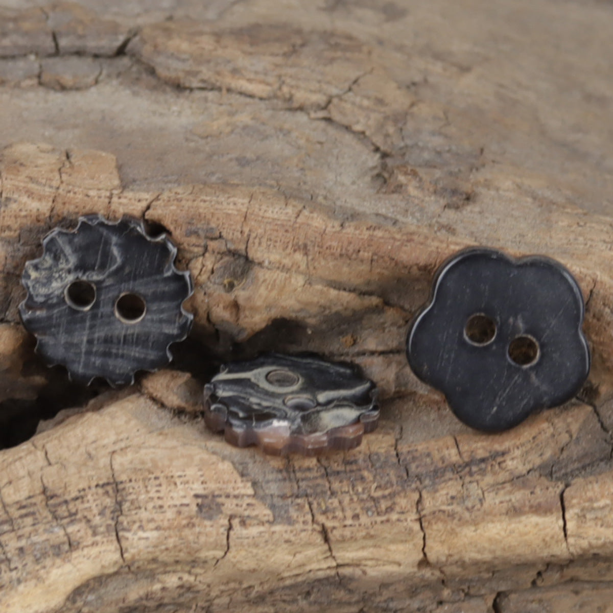 Natürliche Muschelschalen-Knöpfe mit eingraviertem Sternmotiv, je 2 Löcher, dunkel