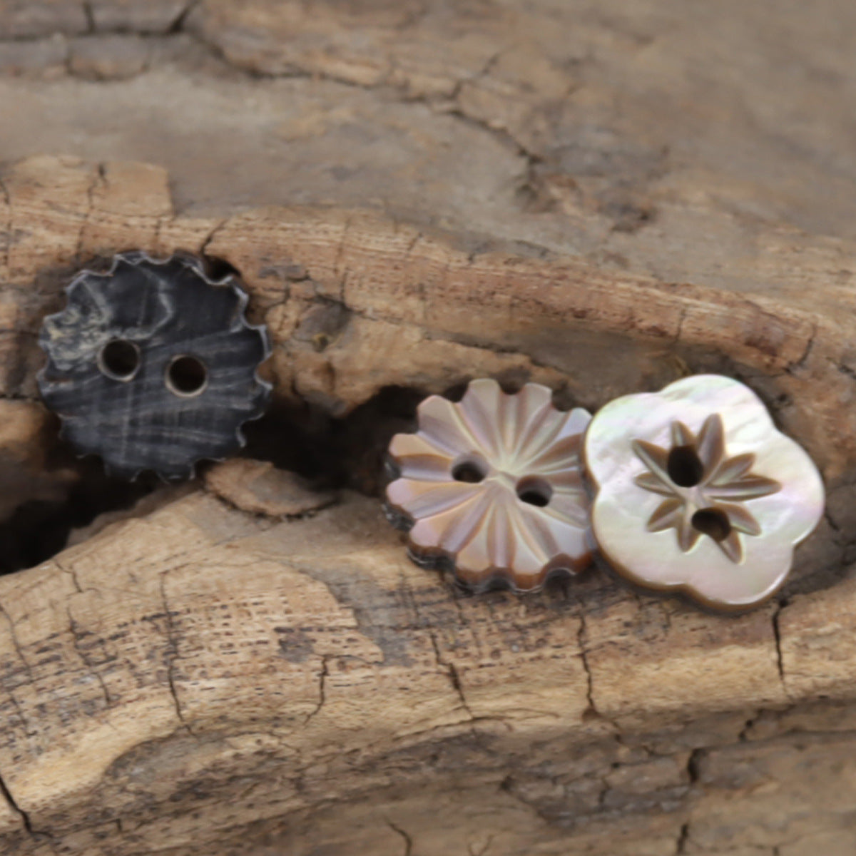 Plum-Blossom-Knopf aus natürlicher Muschelschale, sternförmiges Blumenmotiv, 2 Löcher