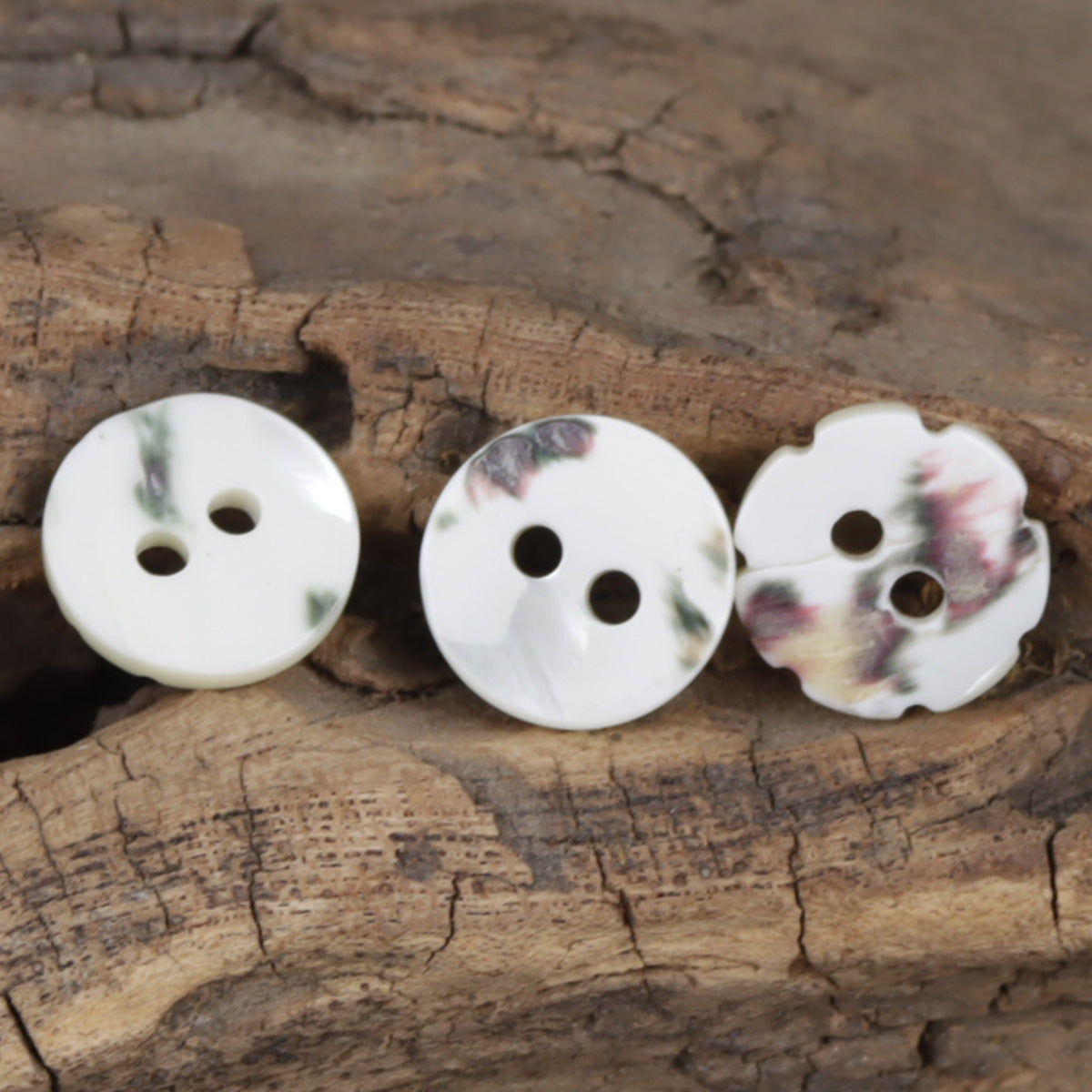 Three laser-engraved two-hole shell buttons in natural off-white