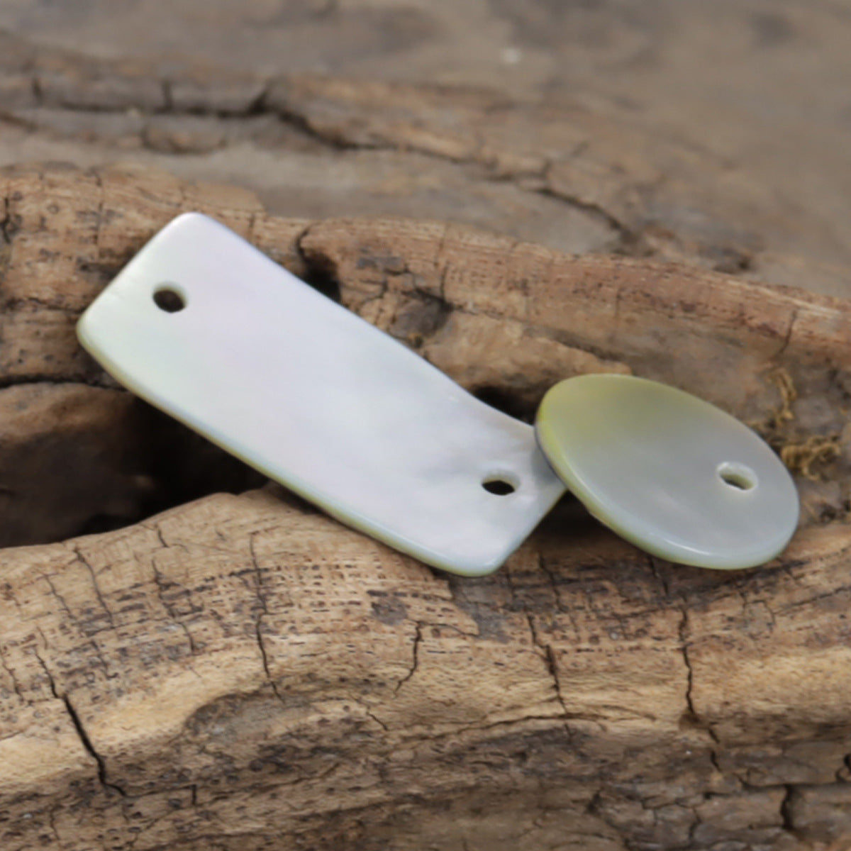 White mother-of-pearl shell rectangular button with two holes and round single-hole button
