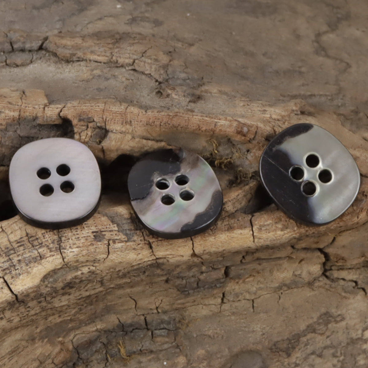 Three irregular pearl shell buttons in light and dark black tones, 4 holes