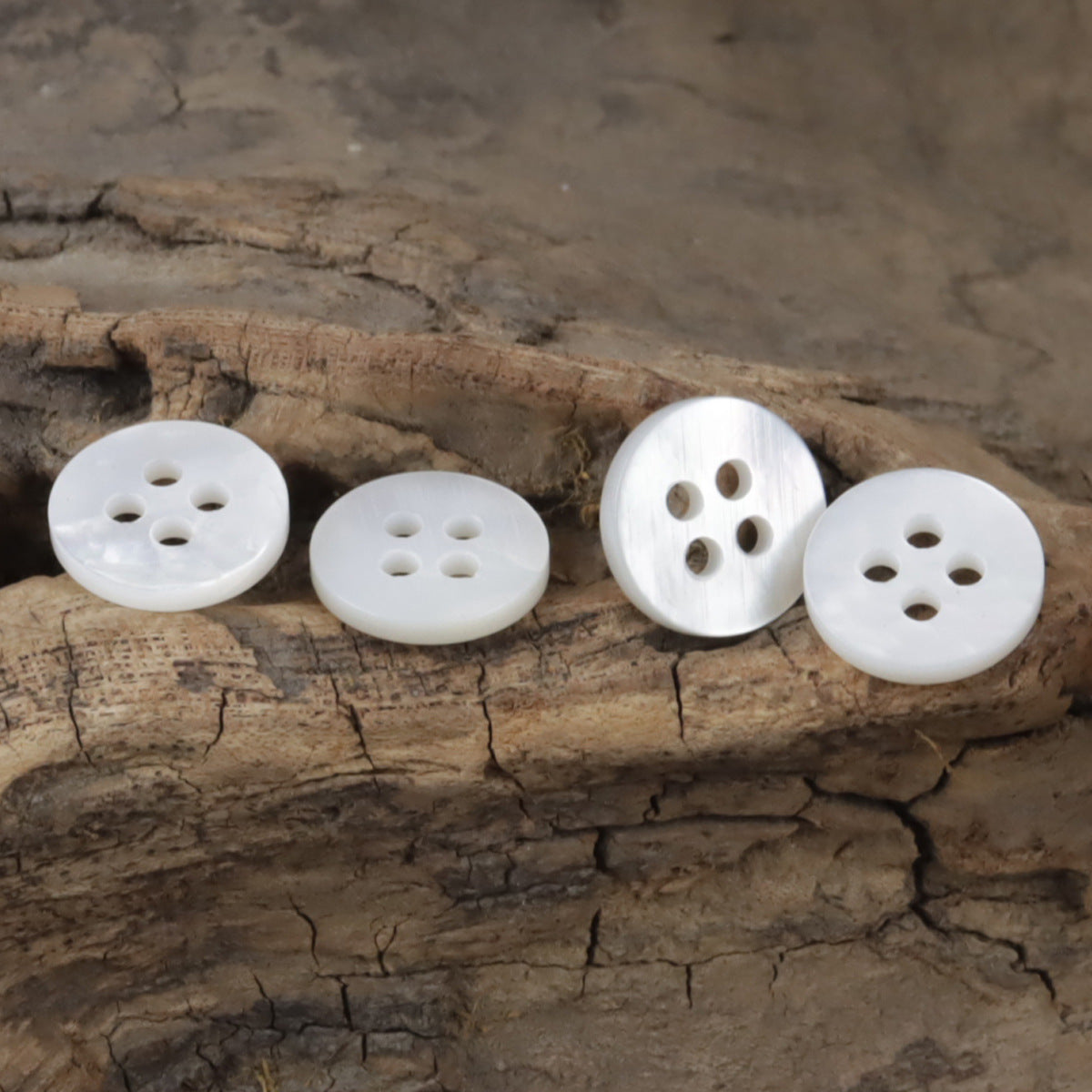 Round white four-hole shell buttons with slim rim on wood log