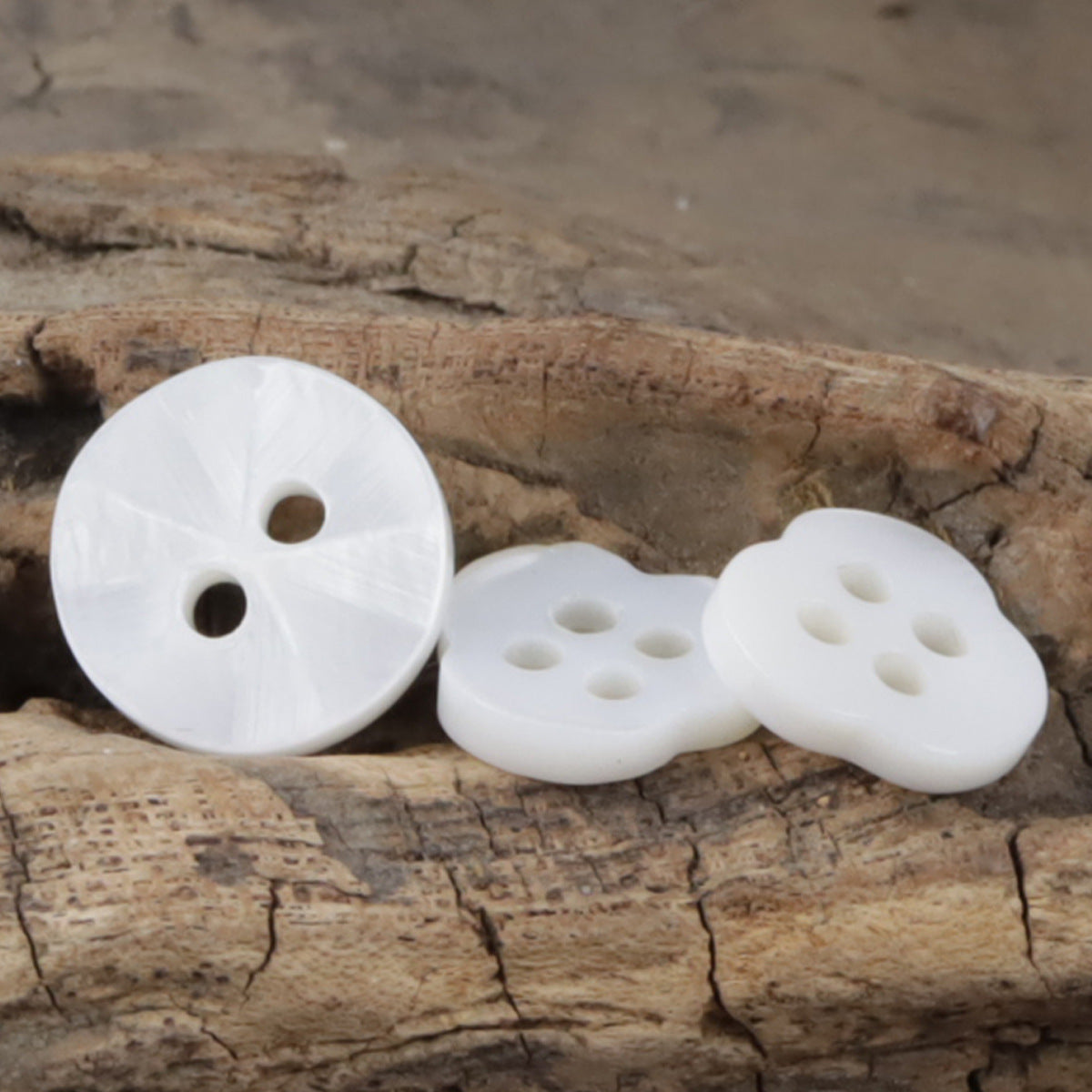 Weiße Muschelknöpfe in Blütenform, 11,5 mm, 4 Löcher