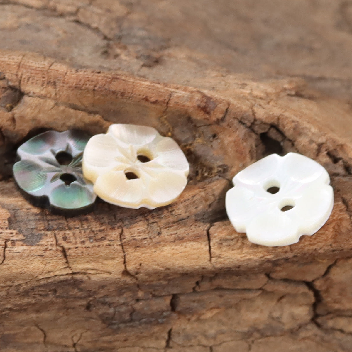 Petal-shaped 2-hole shell buttons in dark iridescent, cream, and white