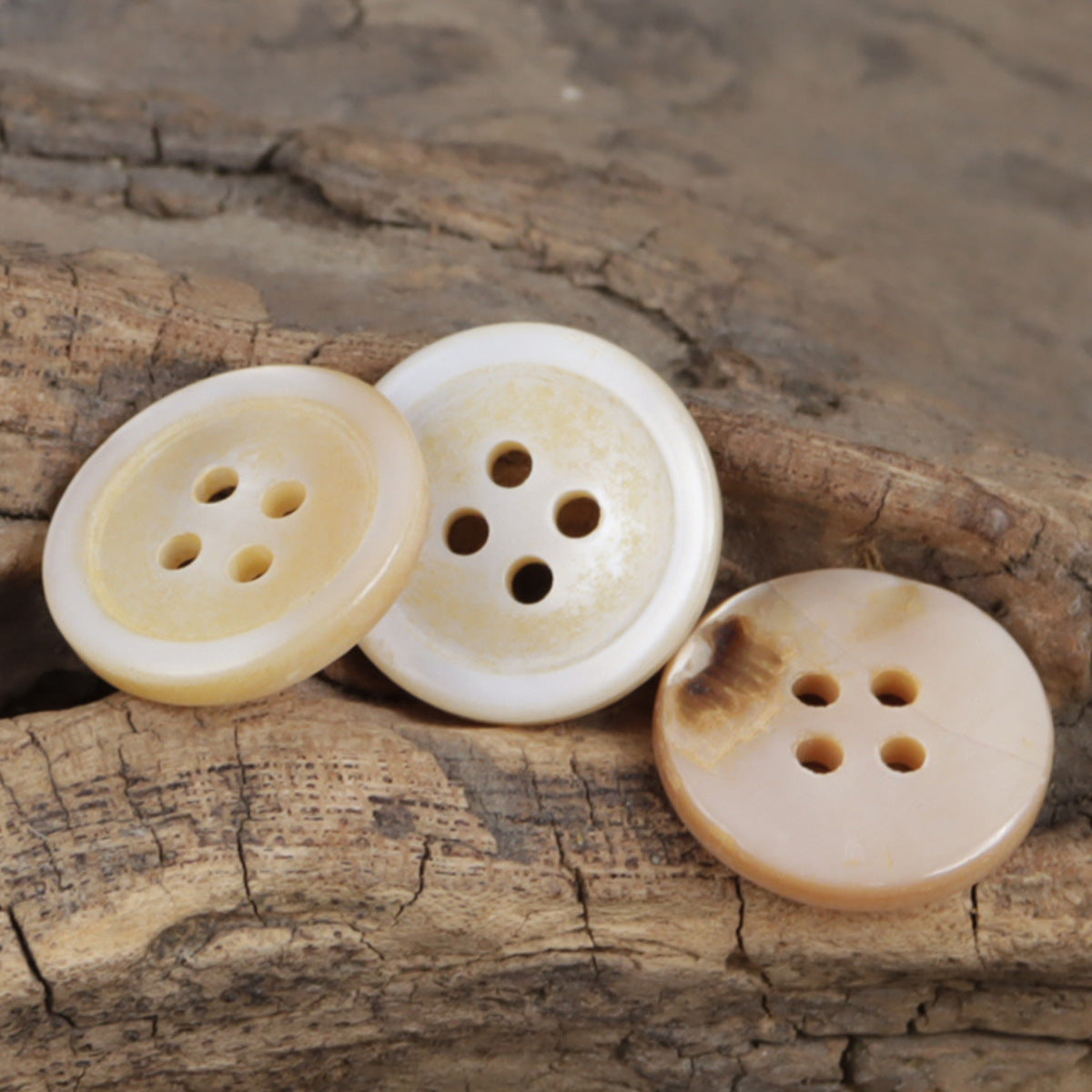 Light beige shell buttons set of three, varying dark edges, four-hole design