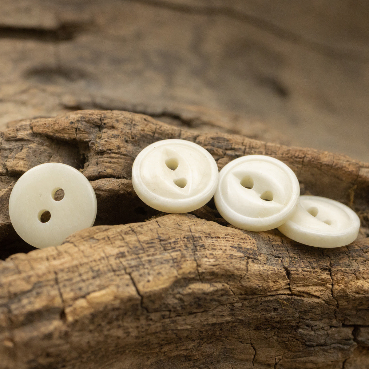 Ivory two-hole bone buttons, round with sewing holes, several pieces on wood