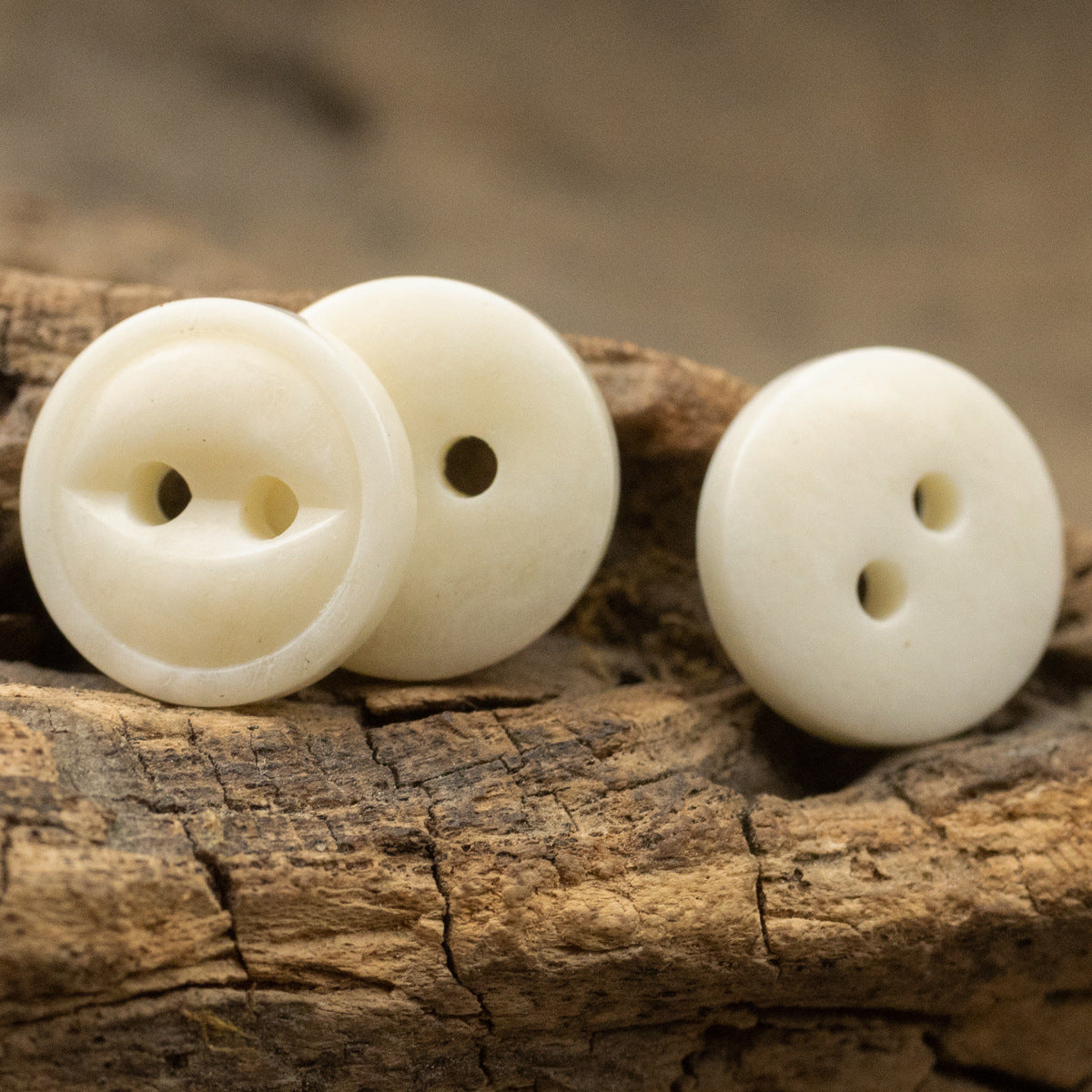 Ivory two-hole bone buttons, three round fronts with center and side holes