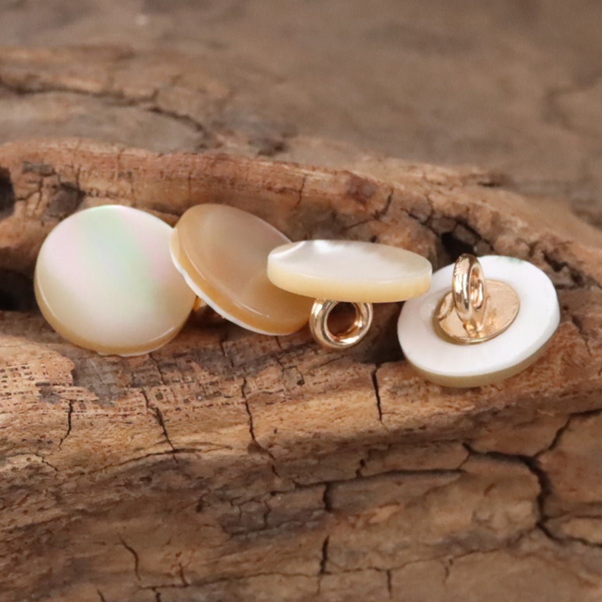 Beige shell buttons with metal shanks, showing backs and loops