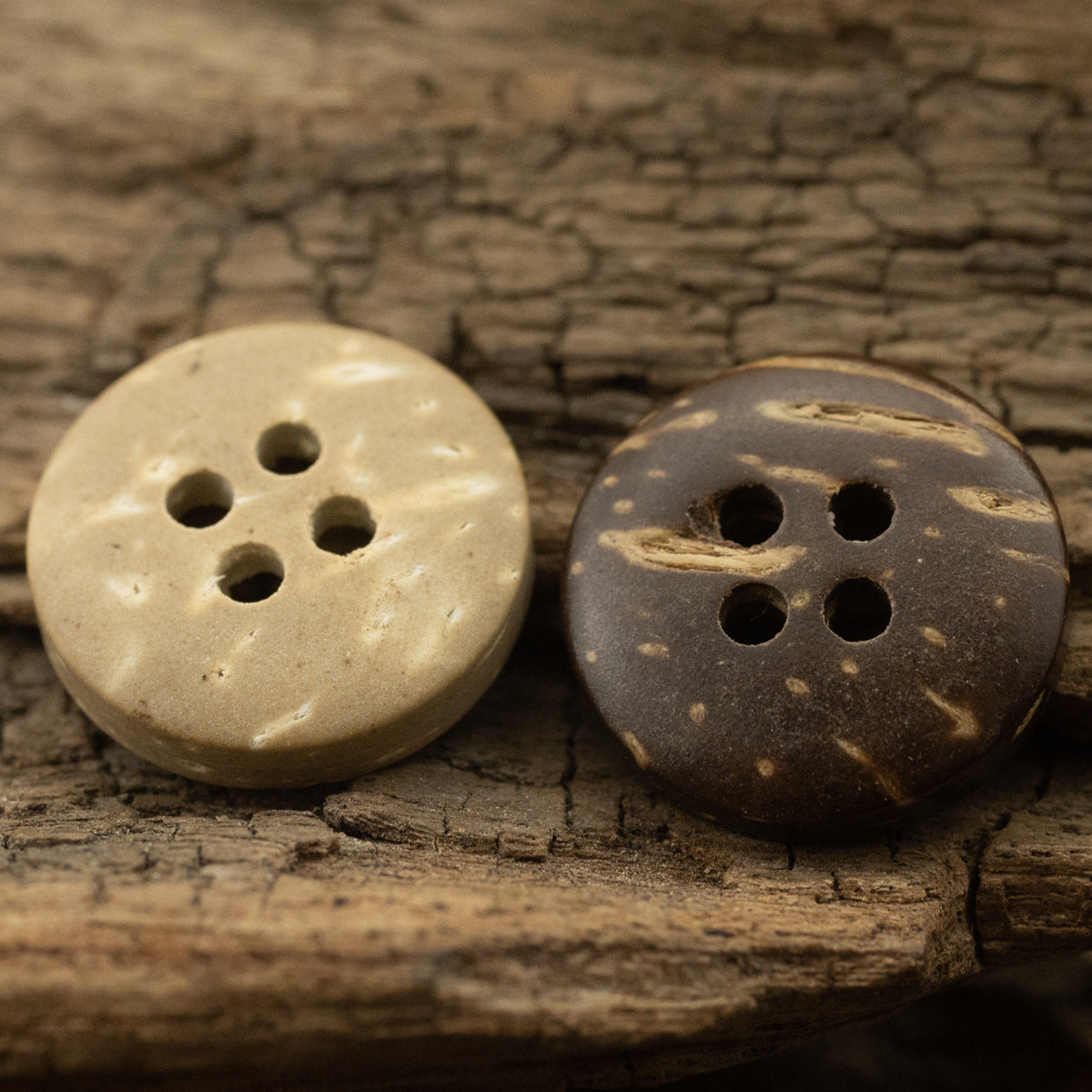 Round coconut shell buttons, khaki and brown, 4-hole fronts on wood
