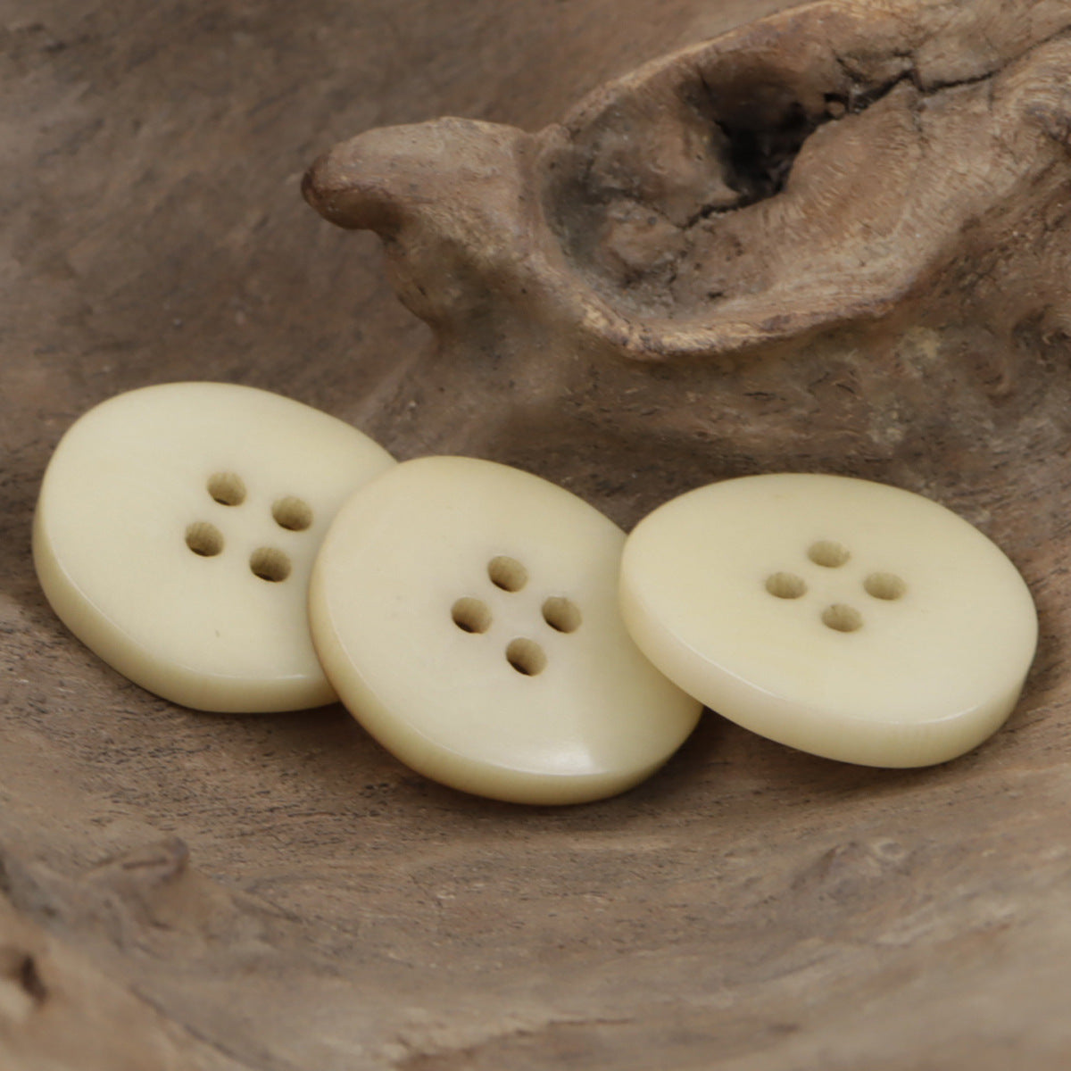 Beige corozo buttons in irregular bowl shape, 4-hole front views (3 buttons shown)
