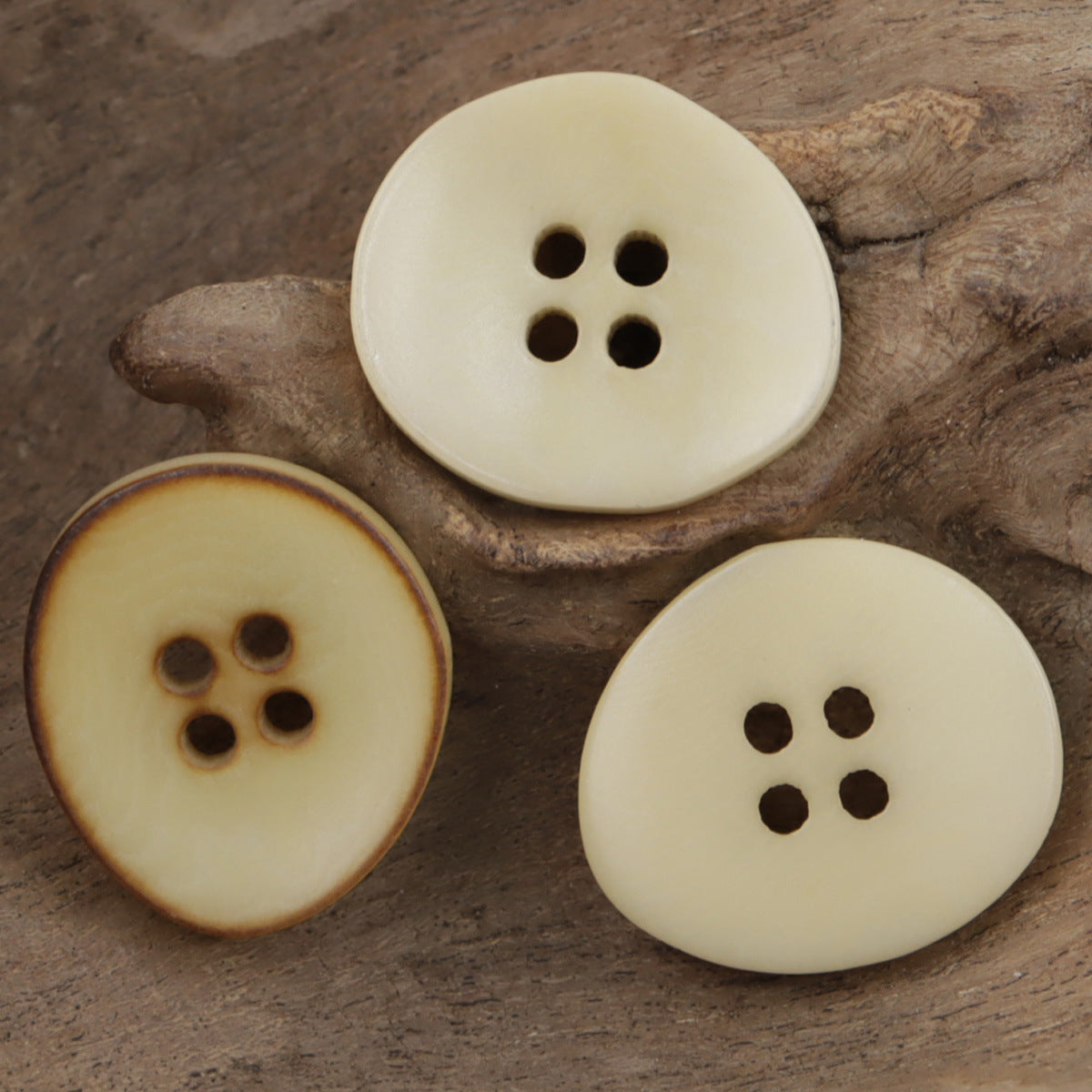 Set of corozo buttons, irregular bowl shape, 4-hole; one has burned beige rim (3 buttons)