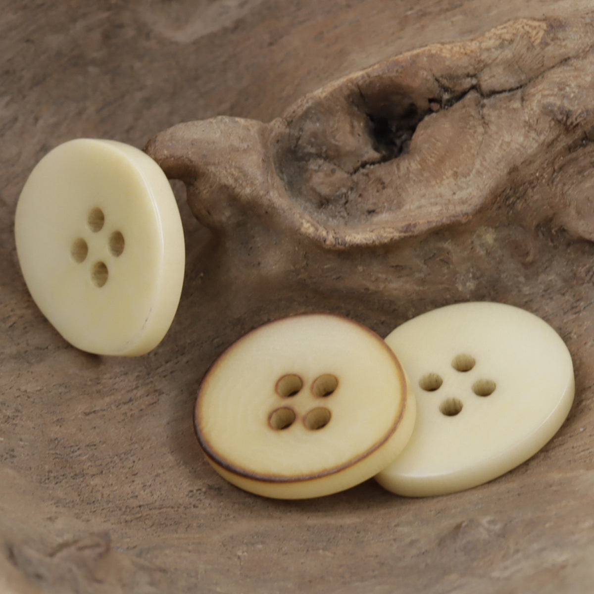 Irregular bowl-shaped corozo buttons, burned beige tones, 4-hole (3 buttons shown, one angled)
