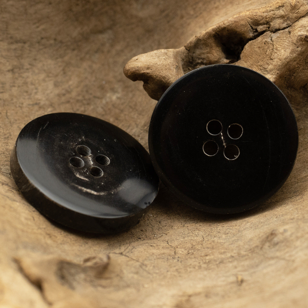 Two black buffalo horn coat buttons, round faces with 4 holes each