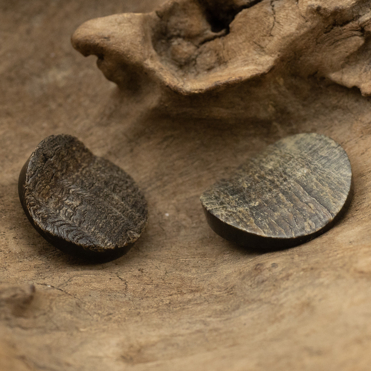 Two black genuine horn buttons with rough mottled finish, 15–28mm