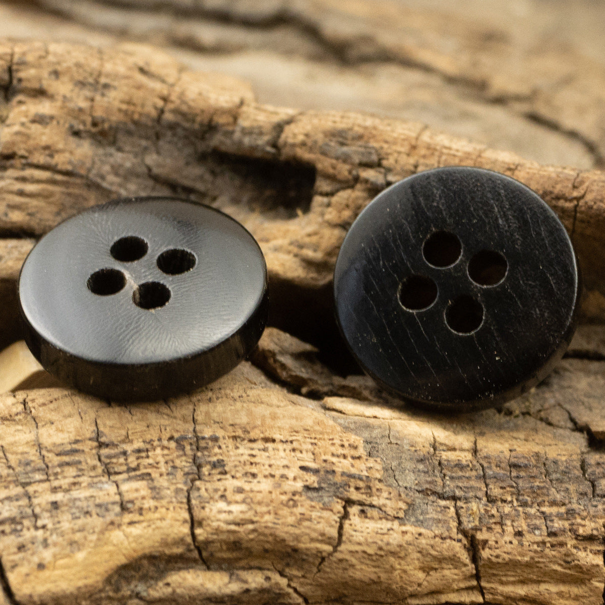 Two dark horn buttons with four holes each, round faces