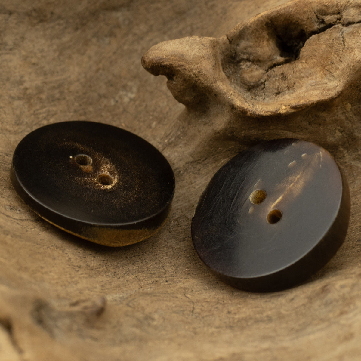 Pair of 2-hole burned horn buttons, dark and smoky gray, beveled edges.