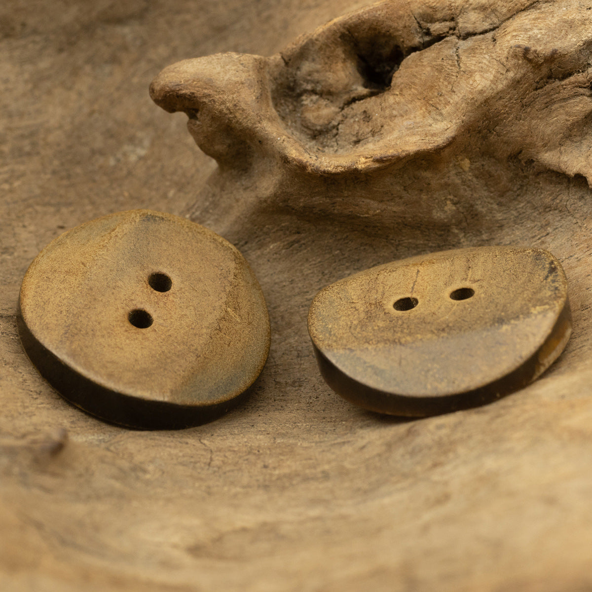 Beige round horn button set, vintage style with two holes and beveled rim.